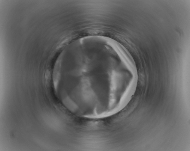 X0000113300375200910131052