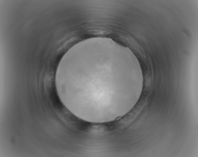 X0000113300376200910131052