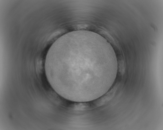 X0000113300378200910131052