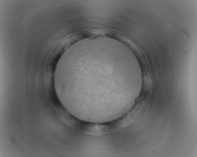 X0000113300379200910131052