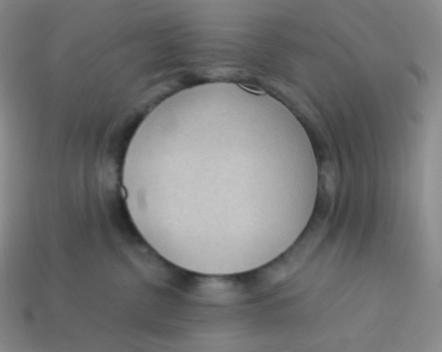X0000113300380200910131052