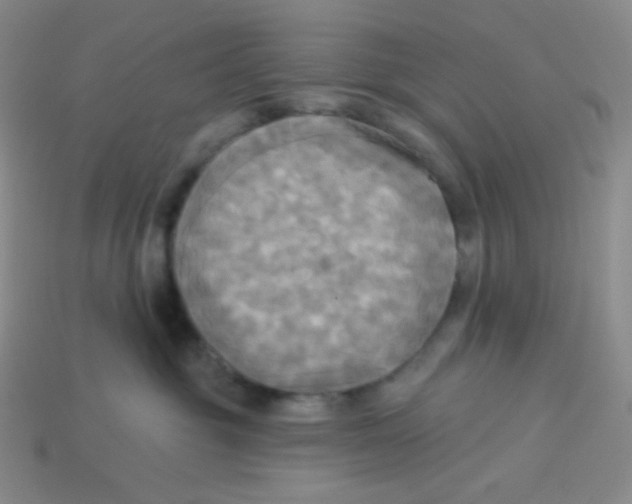 X0000113300381200910131052