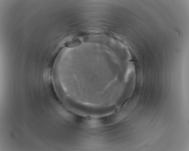X0000113300383200910131052