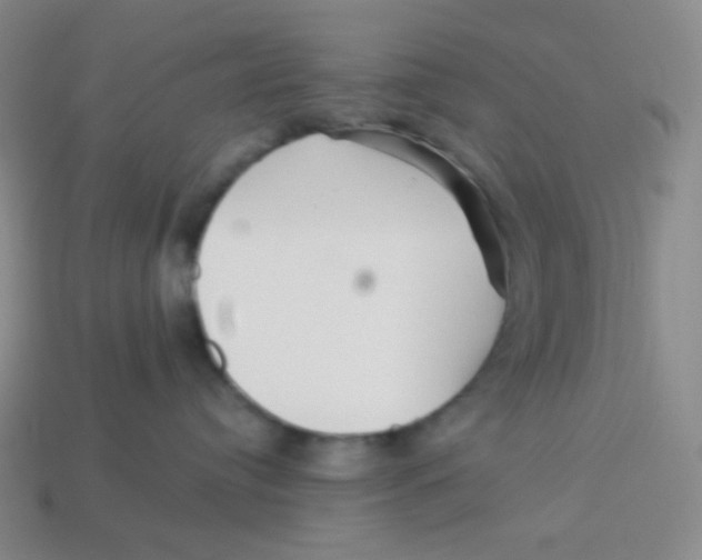 X0000113300384200910131052