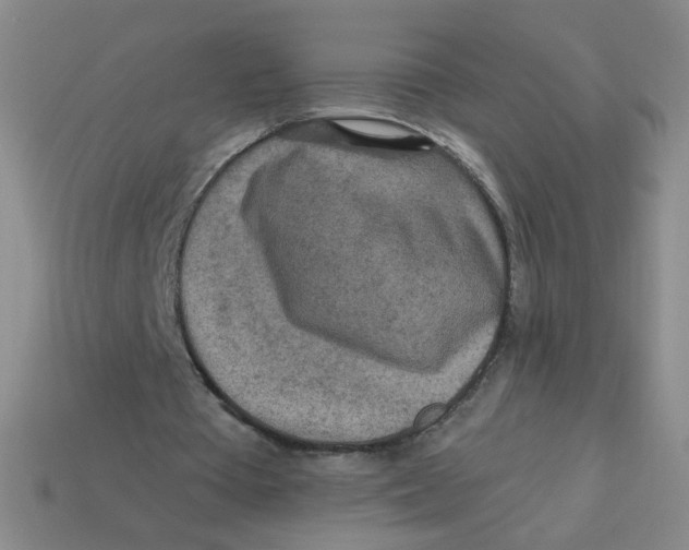 X0000113300385200910131051