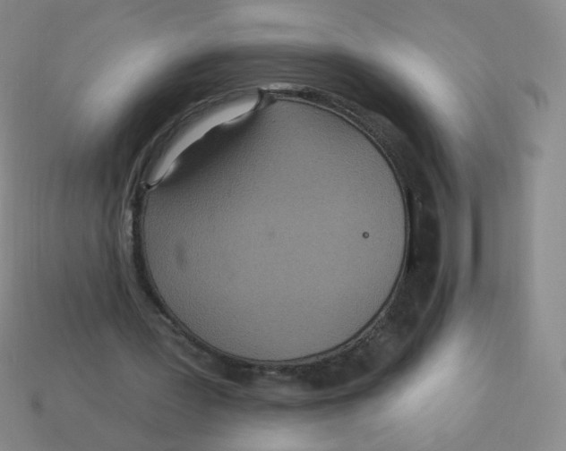 X0000113300387200910131051