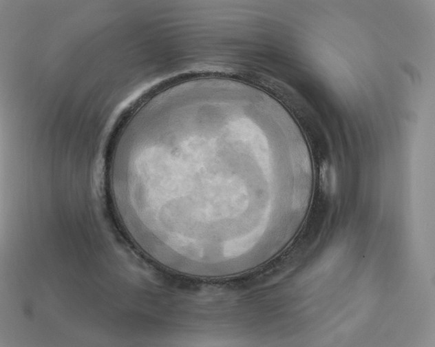 X0000113300388200910131051