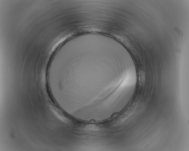 X0000113300390200910131051