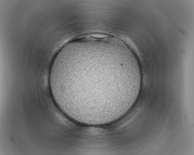 X0000113300393200910131051