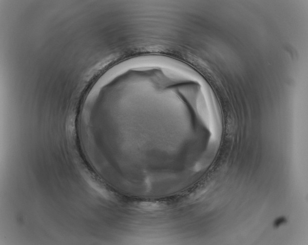 X0000113300394200910131051