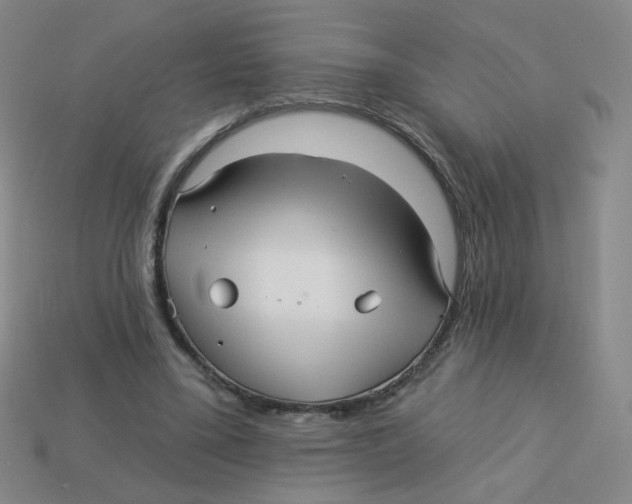 X0000113300395200910131051