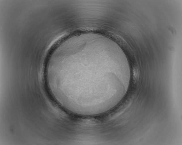 X0000113300396200910131051