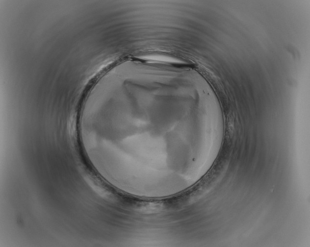 X0000113300398200910131051