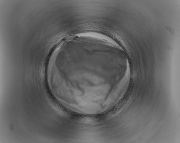 X0000113300402200910131051