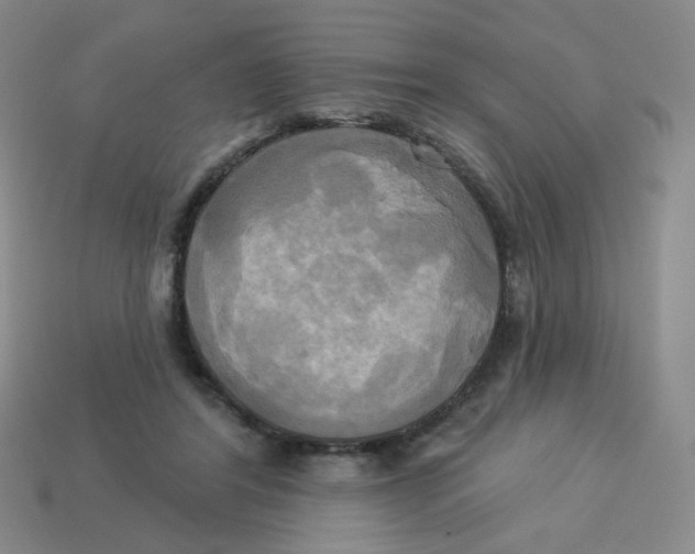 X0000113300404200910131051
