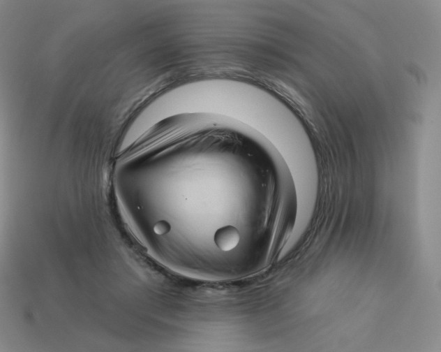 X0000113300405200910131051