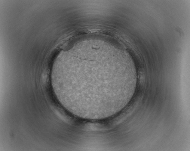 X0000113300408200910131051