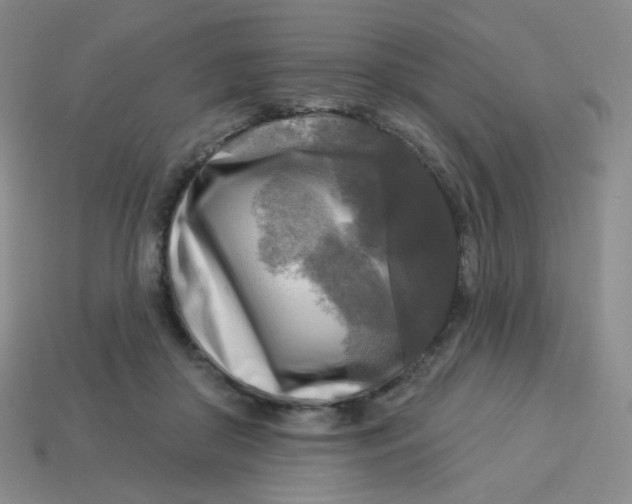 X0000113300410200910131051