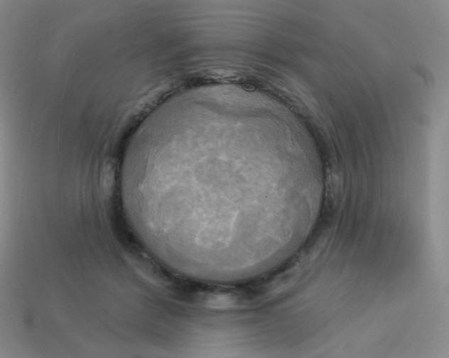 X0000113300412200910131051