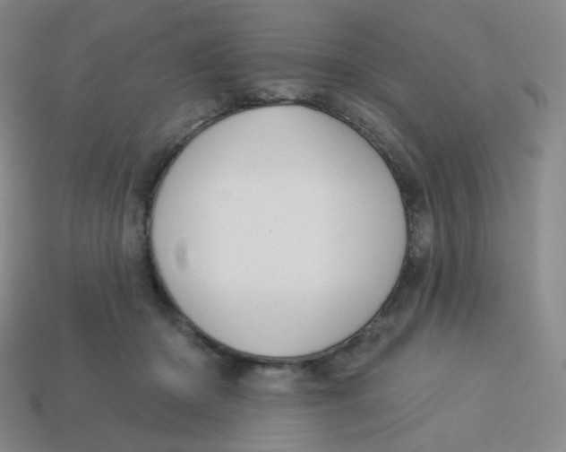 X0000113300414200910131051