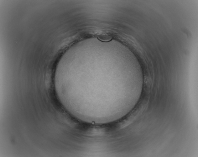 X0000113300416200910131051
