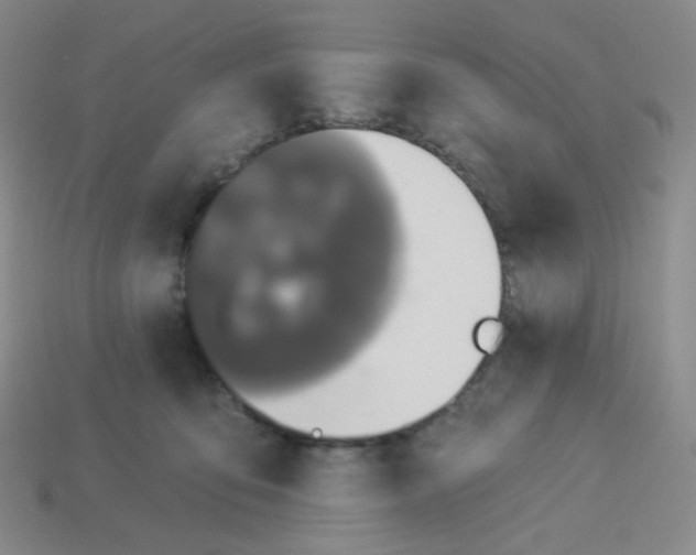 X0000113300419200910131051