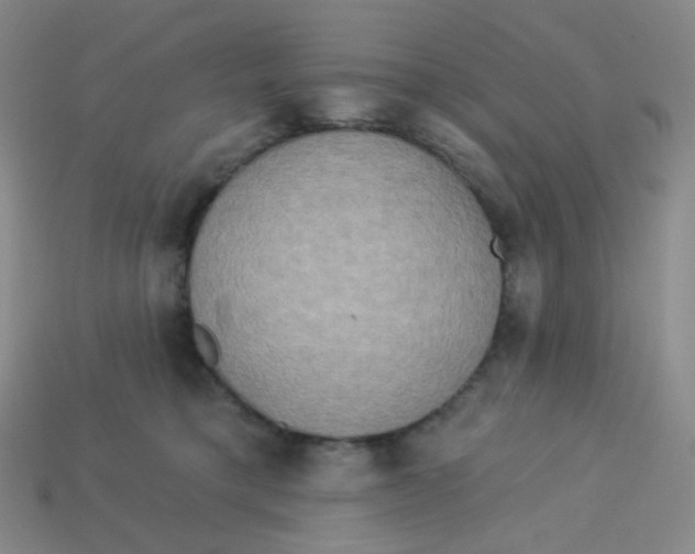 X0000113300421200910131051