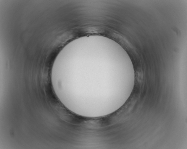 X0000113300422200910131051