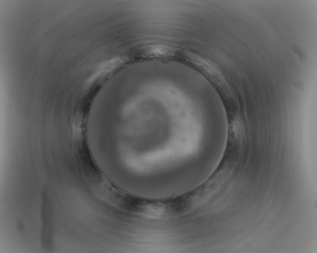 X0000113300423200910131051