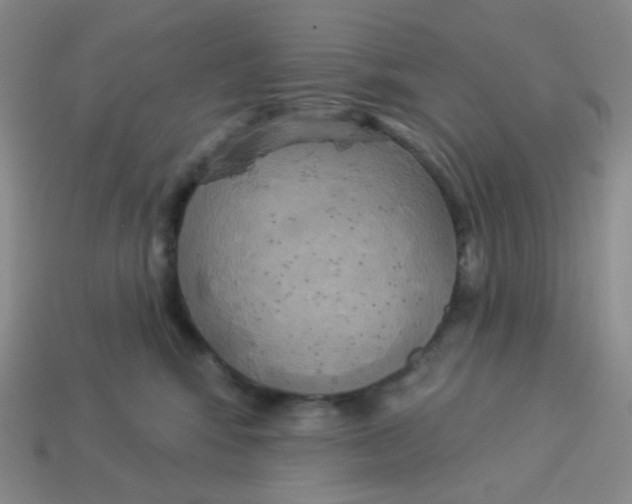 X0000113300424200910131051