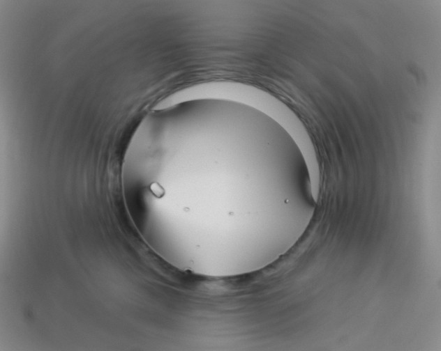 X0000113300425200910131051