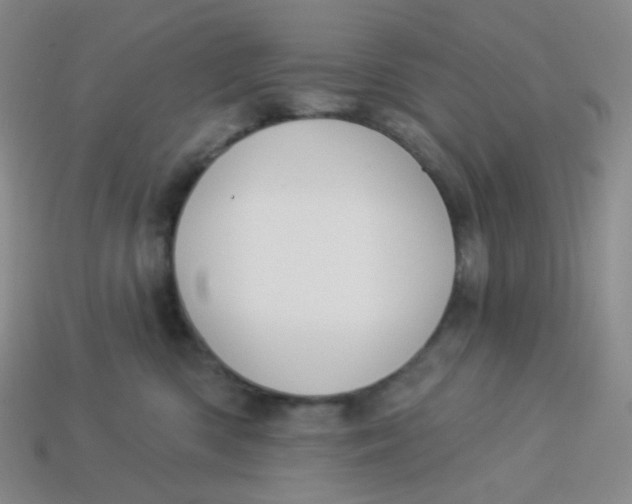 X0000113300426200910131051