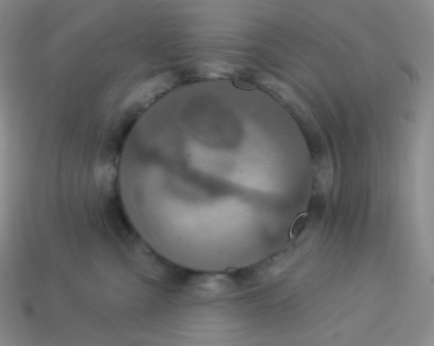 X0000113300427200910131051