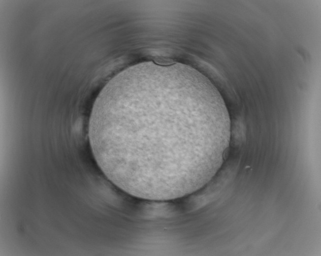 X0000113300428200910131051