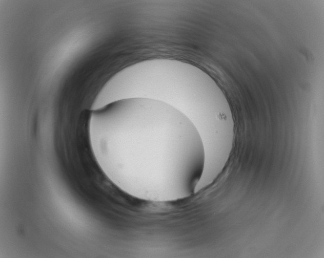 X0000113300429200910131051