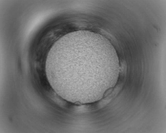 X0000113300430200910131051