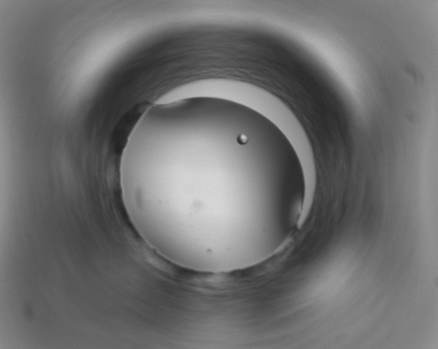 X0000113300431200910131051