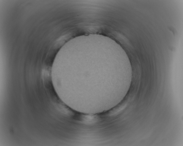 X0000113300432200910131051