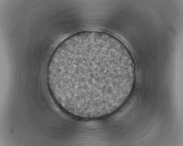 X0000113300433200910131050