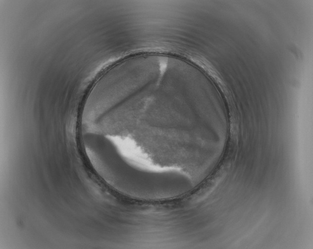 X0000113300434200910131050