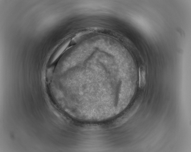 X0000113300435200910131050