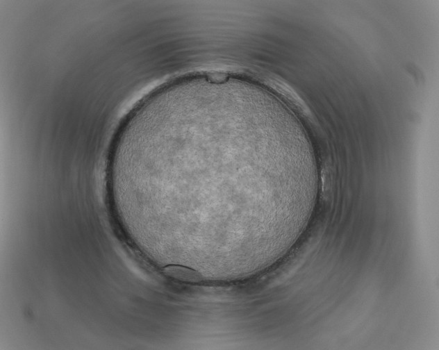 X0000113300436200910131050