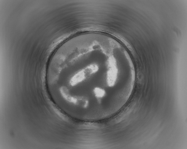 X0000113300437200910131050