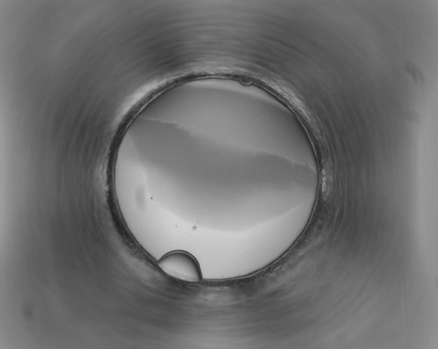 X0000113300438200910131050