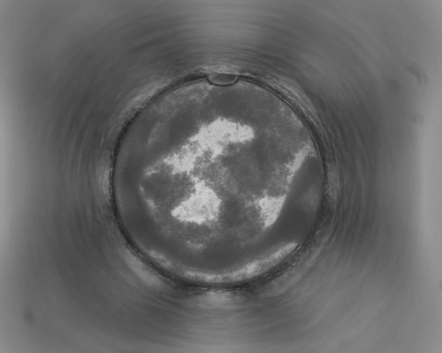 X0000113300441200910131050