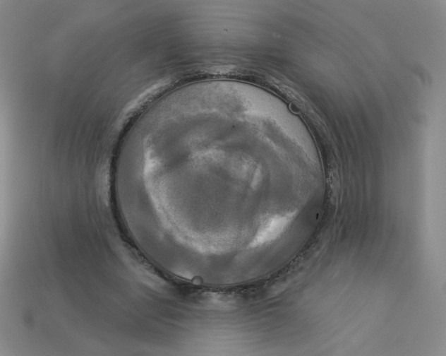 X0000113300442200910131050