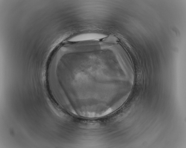 X0000113300443200910131050