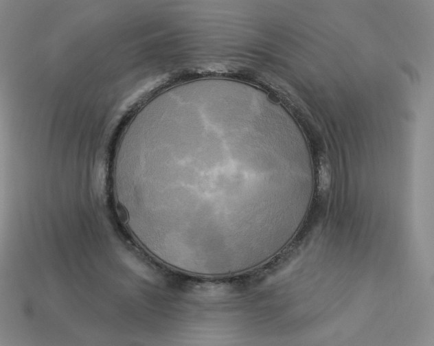X0000113300444200910131050