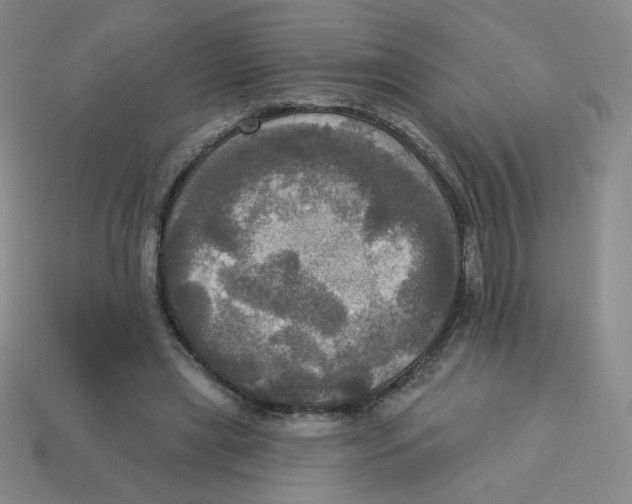 X0000113300445200910131050