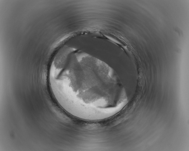 X0000113300446200910131050